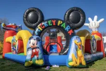 MICKEY MOUSE PLAYGROUND 2Wx20L