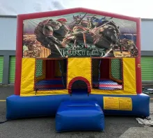 Ninja Turtles 15 15WX15L