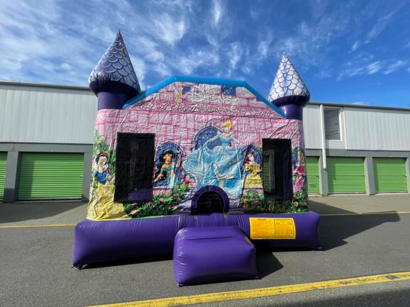 Disney Princess Castle 15WX15L